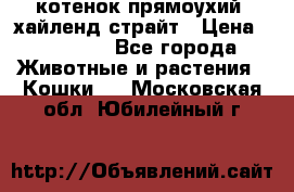 котенок прямоухий  хайленд страйт › Цена ­ 10 000 - Все города Животные и растения » Кошки   . Московская обл.,Юбилейный г.